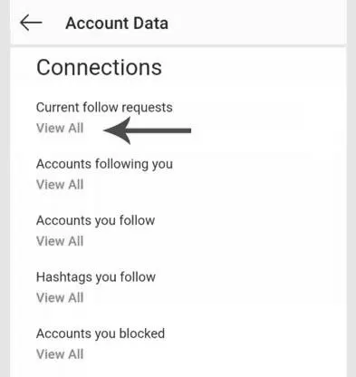 How to See Deleted Follow Requests on Instagram photo 0