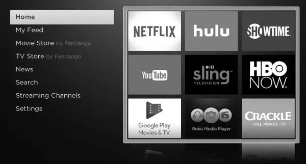 How to Delete Apps on Roku photo 0