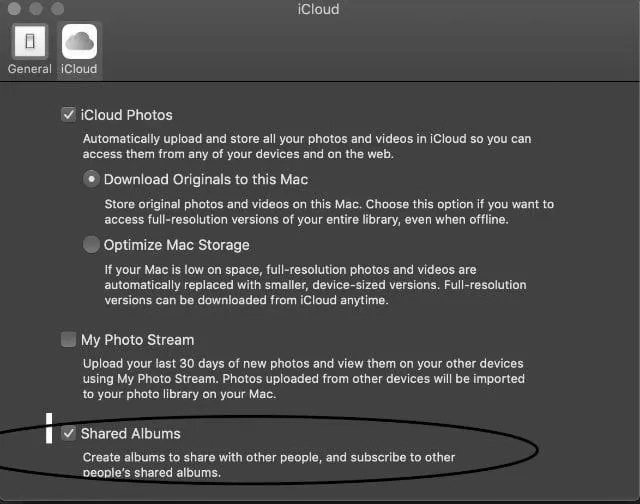 Apple photos delete album ipad? image 3